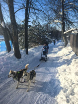 31 января учащиеся 4Е класса посетили экоферму «Хаски блюз»..